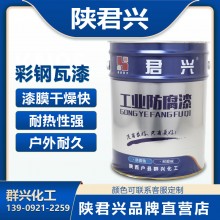醇酸磁漆彩鋼瓦防銹鋼結構工業(yè)防腐漆塔吊腳手架欄桿船舶金屬油漆